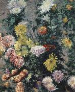 Gustave Caillebotte Chrysanthemums,Garden at Petit Gennevilliers oil painting picture wholesale